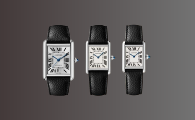Exploring the Iconic Cartier Tank: Sizes, Evolution, and Other Timeless ...