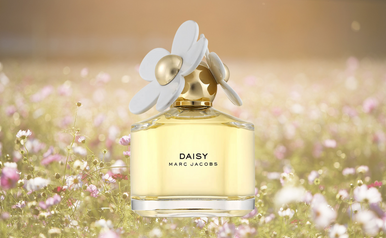 Demystifying Fragrance Categories: Exploring the Aromatic Spectrum