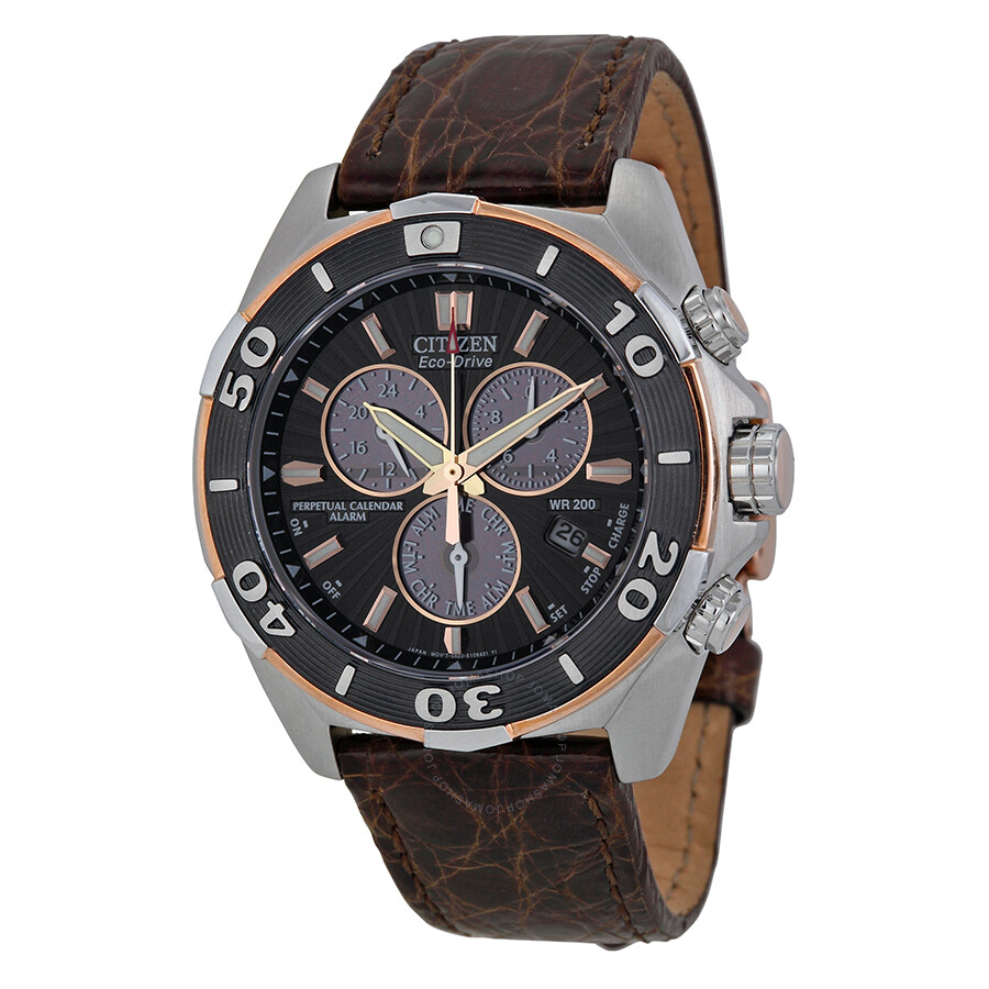 Citizen Signature Perpetual Calendar EcoDrive Chronograph Black Dial