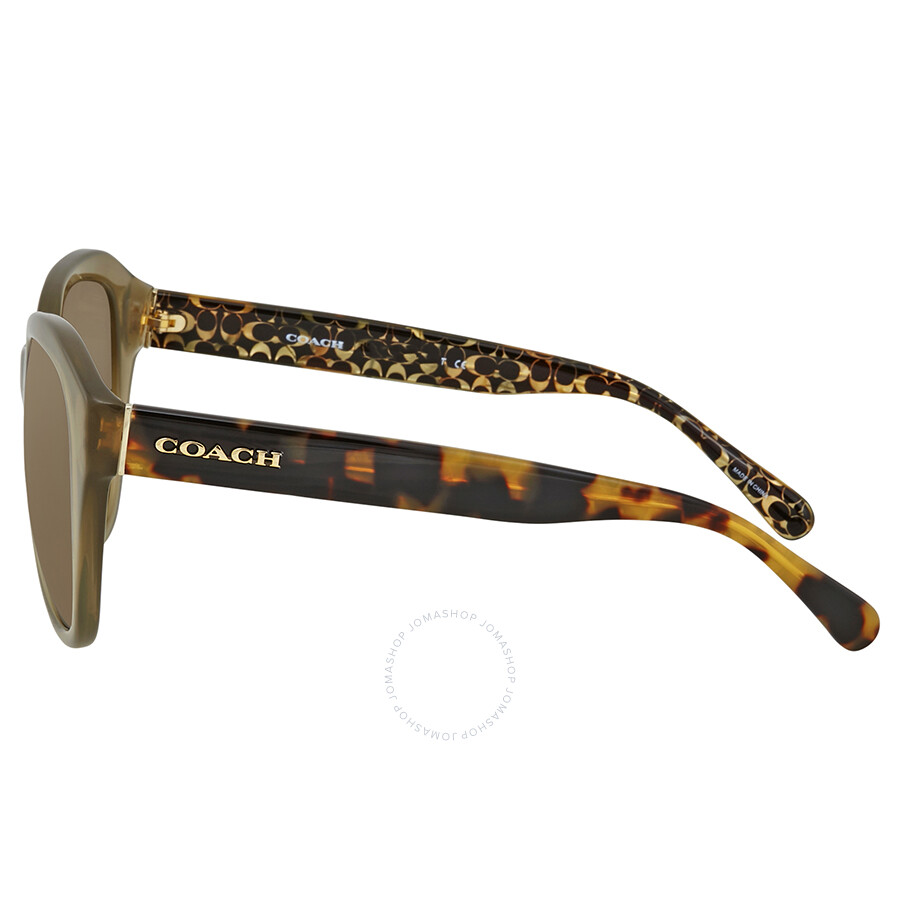 Coach Green Sunglasses Hc8231 550871 54 Coach Sunglasses Jomashop 9382